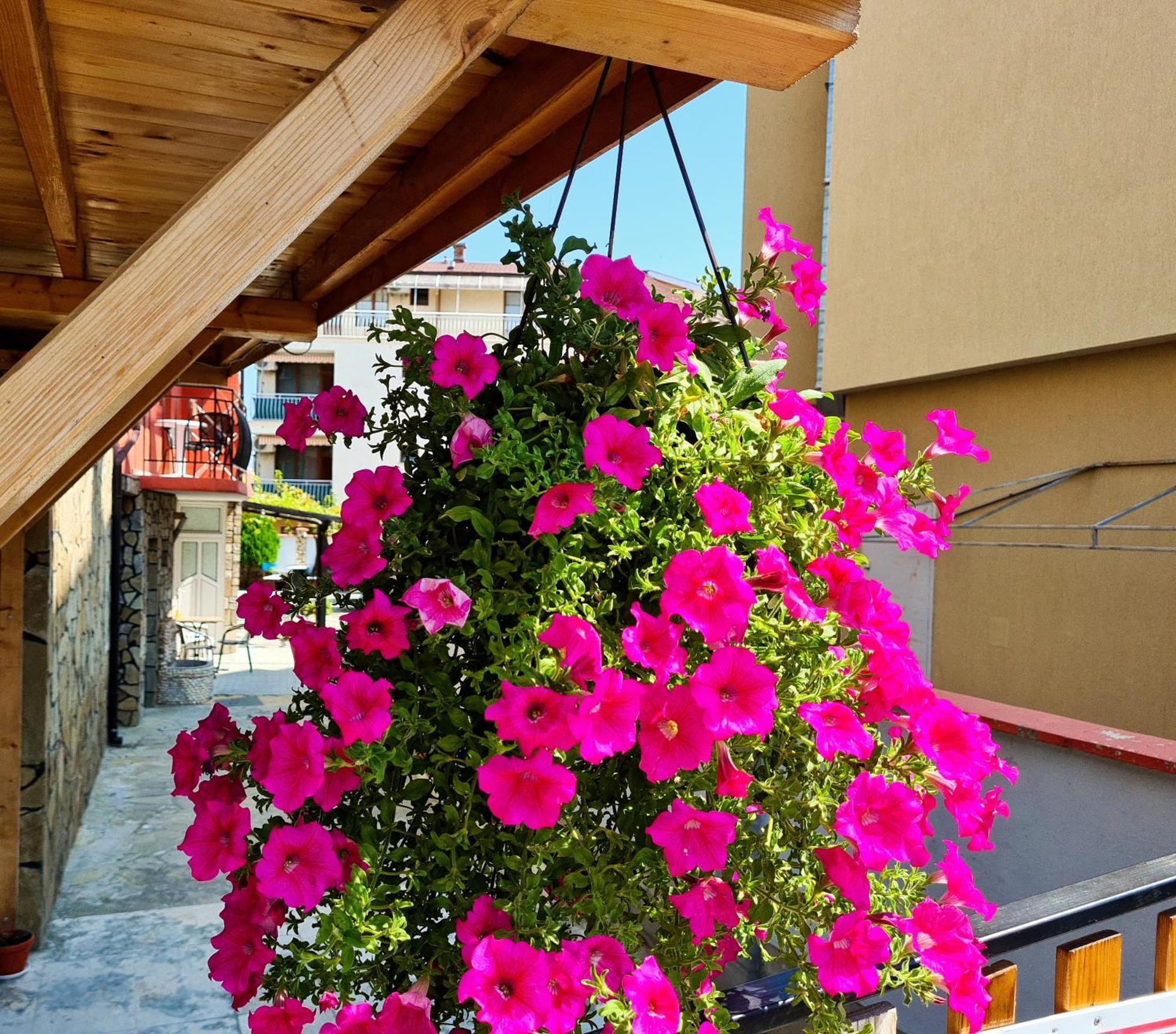 Sineva Guest House Ravda Exterior photo